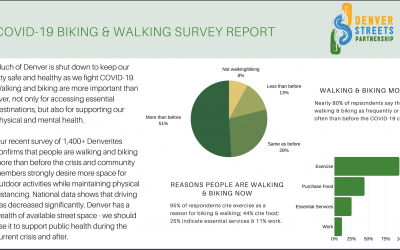 COVID-19 Survey Report