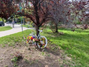 A bike painted white leans on a tree with flowers attached to it, in a bright, grassy area along a path.