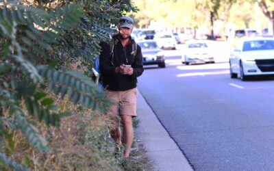 Should Homeowners or Cities Maintain Sidewalks?